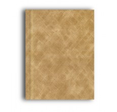 Management Diary TA(CH)