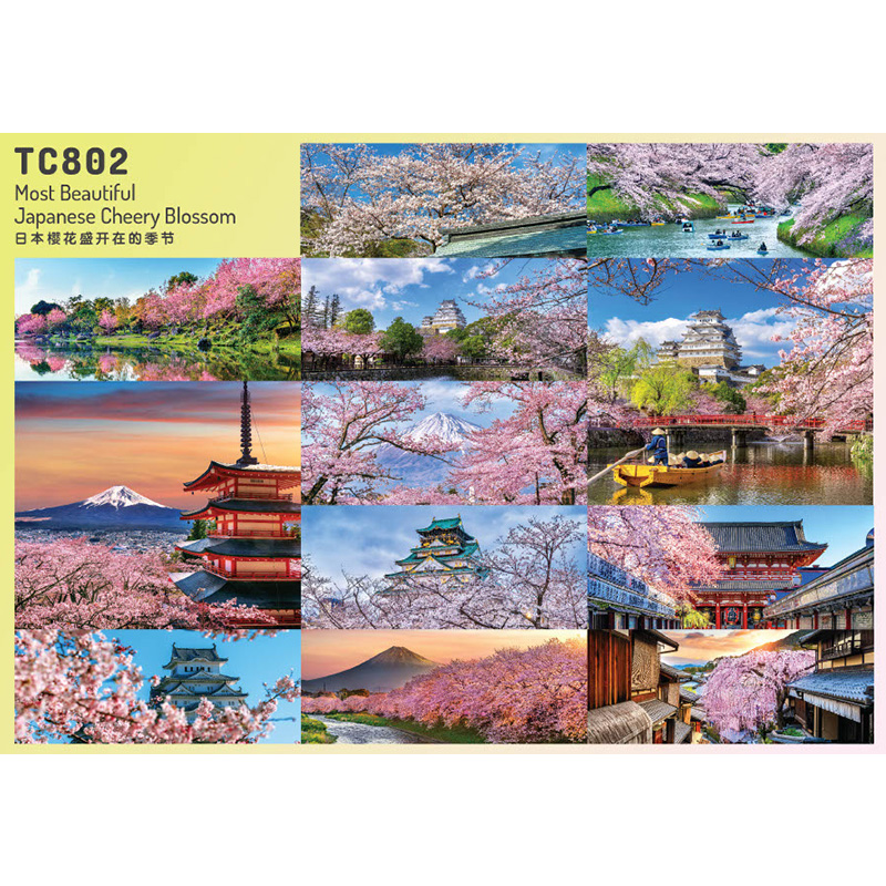 7 Sheets Art Card Table Top (TC801-TC803)